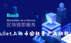 如何将TP Wallet上的币安链
