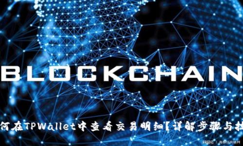 如何在TPWallet中查看交易明细？详解步骤与技巧