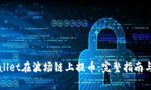 如何使用TPWallet在波场链上提币：完整指南与常见问题解答