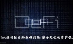 TPWallet提错链自助找回指南