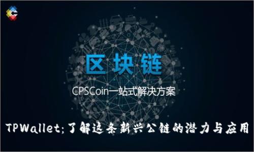 TPWallet：了解这条新兴公链的潜力与应用