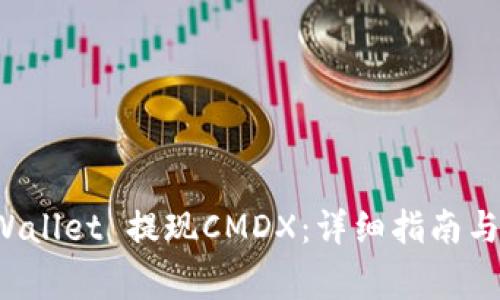 如何通过TP Wallet 提现CMDX：详细指南与常见问题解答