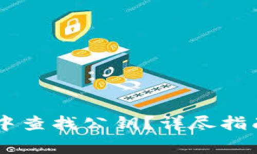 如何在TPWallet中查找公钥？详尽指南与常见问题解析