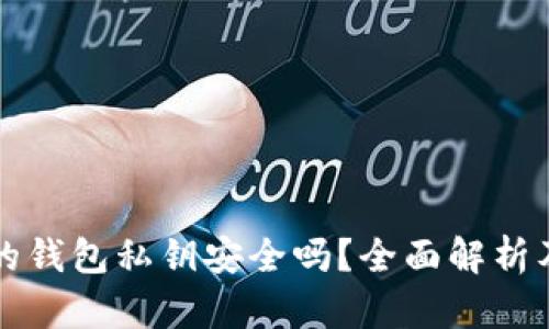 TPWallet生成的钱包私钥安全吗？全面解析及风险控制措施