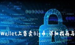 如何在TPWallet上售卖Big币：