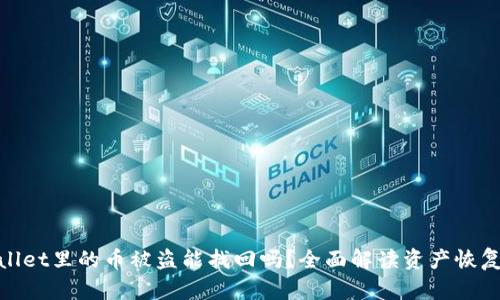 tpwallet里的币被盗能找回吗？全面解读资产恢复方案