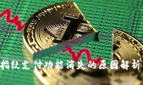  TPWallet指纹支付功能消失的原因解析与解决方案