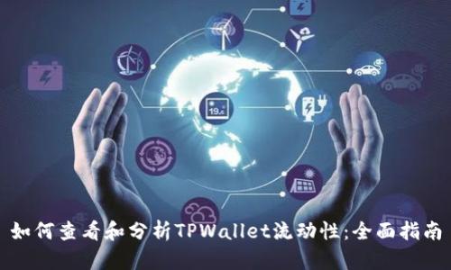 如何查看和分析TPWallet流动性：全面指南