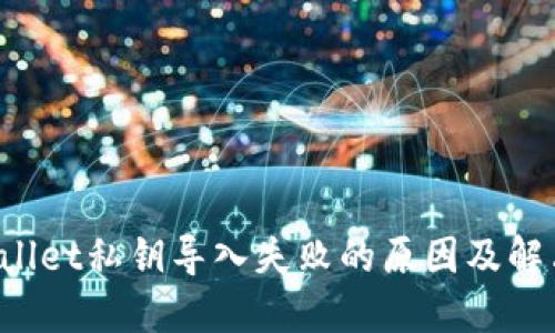 TP Wallet私钥导入失败的原因及解决方法