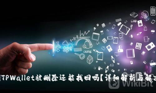 bialtiTPWallet被删除还能找回吗？详细解析与解决方案