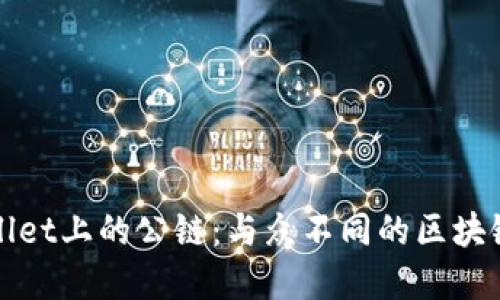 TPWallet上的公链：与众不同的区块链选择