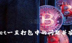 如何解决TPWallet一直打包中