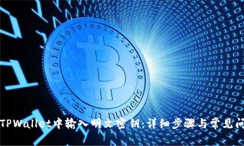 如何在TPWallet中输入明文密钥：详细步骤与常见问题解答
