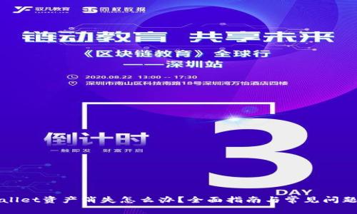 TPWallet资产消失怎么办？全面指南与常见问题解答