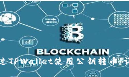 如何通过TPWallet使用公钥转币：详细指南