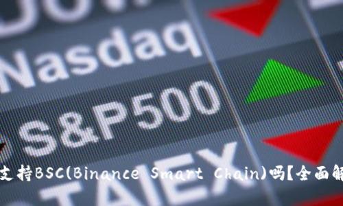 TP桌面版钱包支持BSC(Binance Smart Chain)吗？全面解析及使用指南