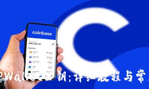   
如何查看TPWallet公钥：详细教程与常见问题解答