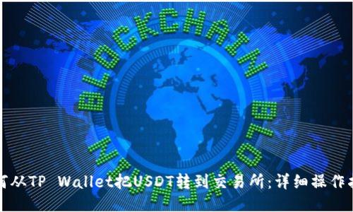 如何从TP Wallet把USDT转到交易所：详细操作指南