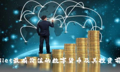 TP Wallet最有价值的数字货币及其投资前景分析