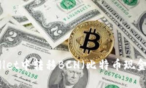 如何在TPWallet中转移BCH（比特币现金）的详细指南