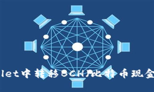 如何在TPWallet中转移BCH（比特币现金）的详细指南