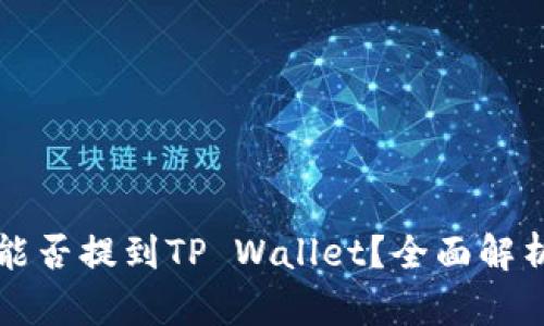 小狗币能否提到TP Wallet？全面解析与指南