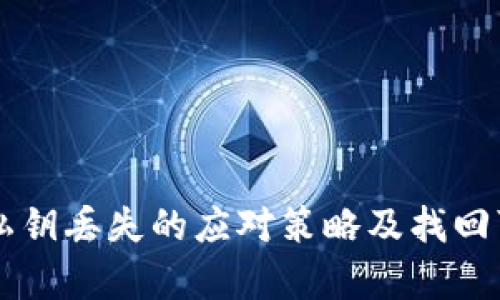 TPWallet私钥丢失的应对策略及找回可能性分析