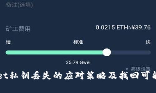 TPWallet私钥丢失的应对策略及找回可能性分析