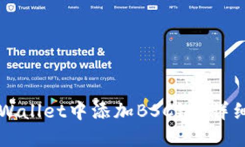 如何在TPWallet中添加BSC链？详细步骤指南