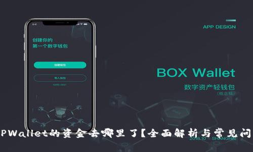:转入TPWallet的资金去哪里了？全面解析与常见问题答疑