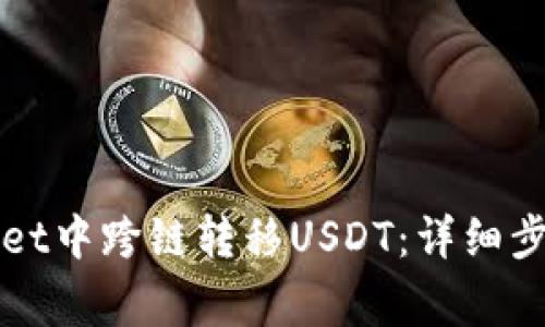 如何在TPWallet中跨链转移USDT：详细步骤与注意事项