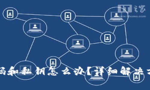 : tpwallet忘记密码和私钥怎么办？详细解决方案与常见问题分析