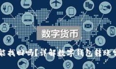 TPWallet转错地址能找回吗？
