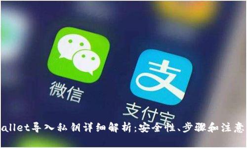 TPWallet导入私钥详细解析：安全性、步骤和注意事项