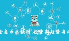 超级黄金象币区块链：投资新趋势与风险解析