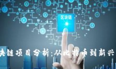 2023年热门区块链项目分析：从比特币到新兴币种