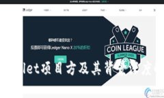 TPWallet项目方及其背景深度解析
