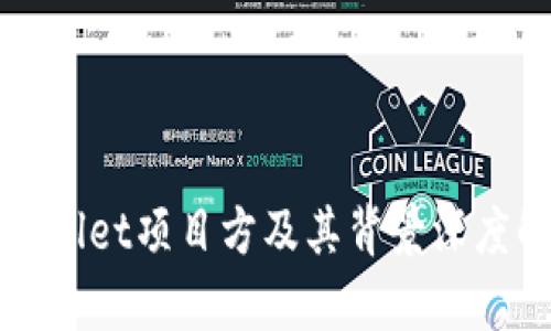 TPWallet项目方及其背景深度解析