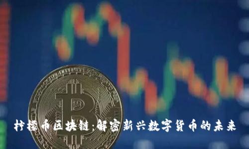柠檬币区块链：解密新兴数字货币的未来