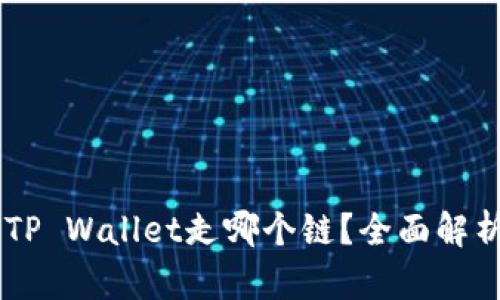 : SHIB提到TP Wallet走哪个链？全面解析与用户指南