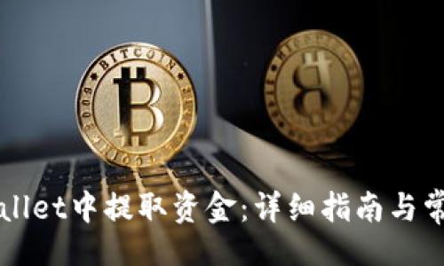 页面
如何从TPWallet中提取资金:详细指南与常见问题解答