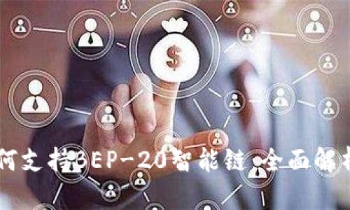 TPWallet如何支持BEP-20智能链:全面解析与用户指南