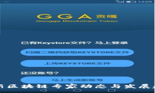 :
河北最新区块链专家动态与发展趋势分析