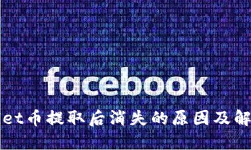 TPWallet币提取后消失的原因及解决方案