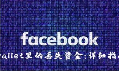 如何找回tpwallet里的丢失资金：详细指南与解决方案