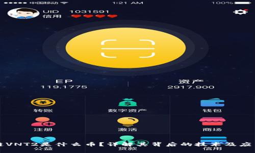 区块链VNT2是什么币？详解其背后的技术及应用前景