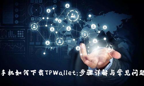 苹果手机如何下载TPWallet:步骤详解与常见问题解析