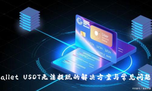 TPWallet USDT无法提现的解决方案与常见问题解析