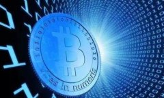 TPWallet：国内版与国际版的全面比较与分析