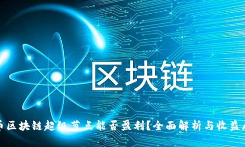 Pi币区块链超级节点能否盈利?全面解析与收益展望